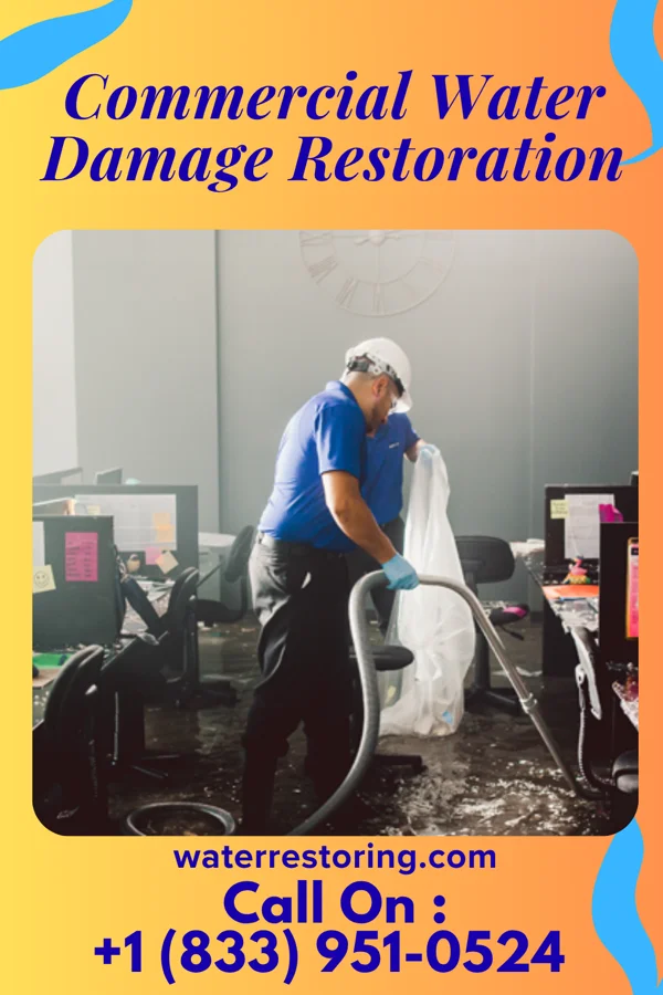 Commercial Water Damage Restoration in Elkader, IA